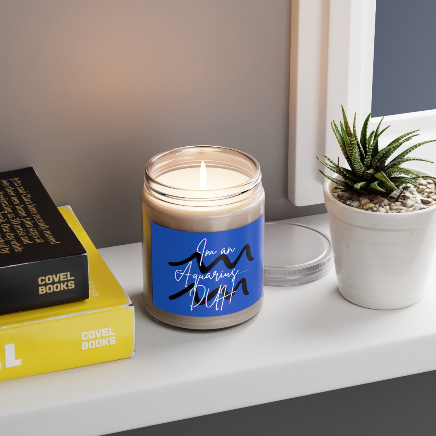 I'm an Aquarius .. DUH Scented Candles, 9oz