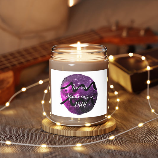 I'm An Aquarius ......DUH  Scented Candles, 9oz